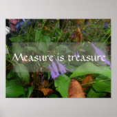 La mesure est trésor sagesse dire affiche (Devant)