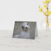 La mouette indiquent ce qui ? Carte de note (Fleur jaune)