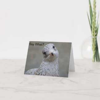 La mouette indiquent ce qui ? Carte de note