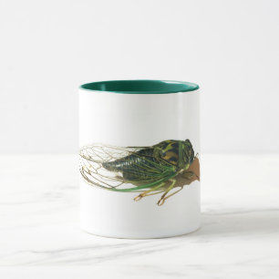 La Mug annuelle de Linne's Cicada (Neotibicen linn