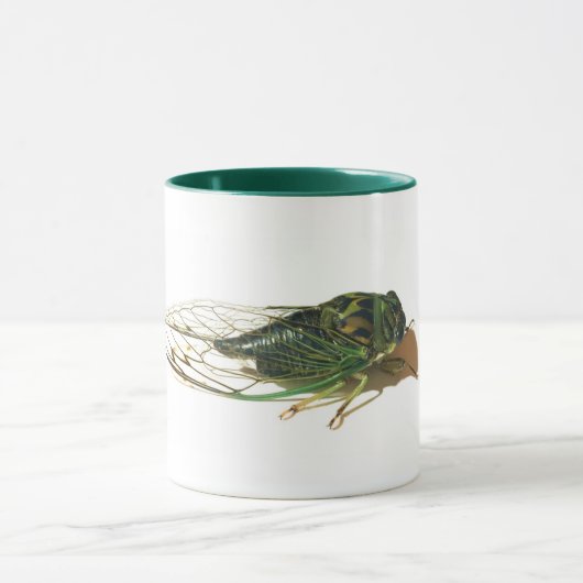 La Mug annuelle de Linne's Cicada (Neotibicen linn (Centre)