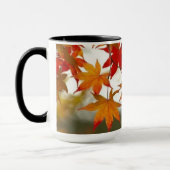 La Mug d'automne (Gauche)