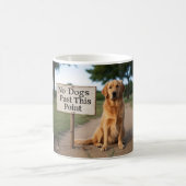 La Mug des Chiens rebelles (Centre)