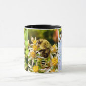 La Mug des genoux de l'abeille. (Centre)