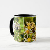 La Mug des genoux de l'abeille. (Devant gauche)