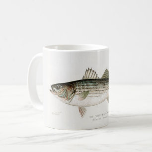La Mug du pêcheur de basse rayée