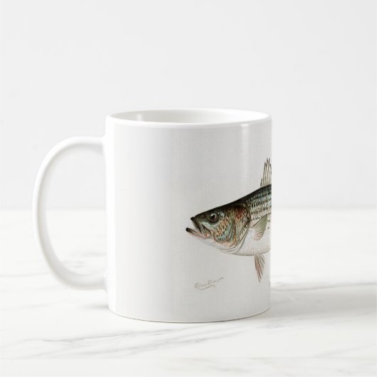 La Mug du pêcheur de basse rayée (Gauche)
