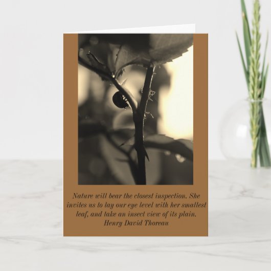 La nature a inspiré la carte de voeux avec la (Devant)