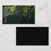 La nature du carte de visite de nuit (Devant / Derrière)