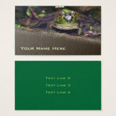 La nature du visage de la grenouille taureau (Devant & derrière)