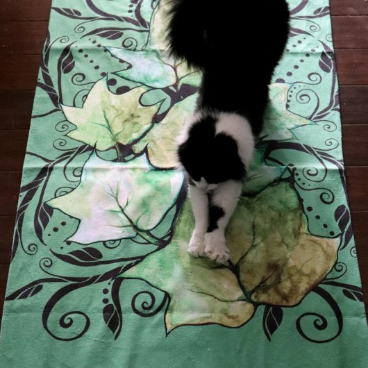 La nature verte du Ivy