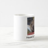 La noisette aime la tasse de Diane (Centre)