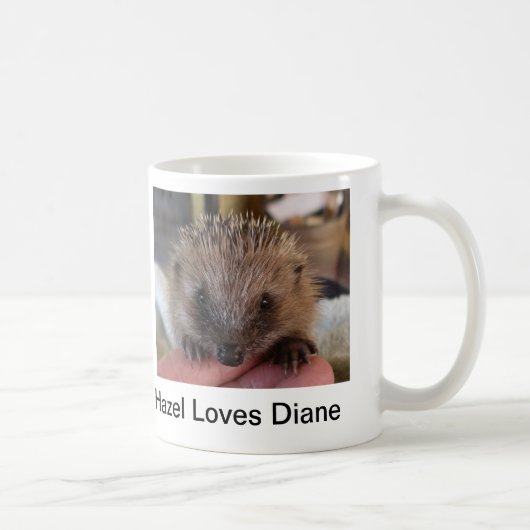 La noisette aime la tasse de Diane (Droite)