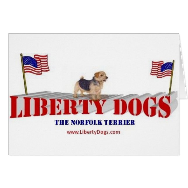 La Norfolk Terrier (Devant horizontal)