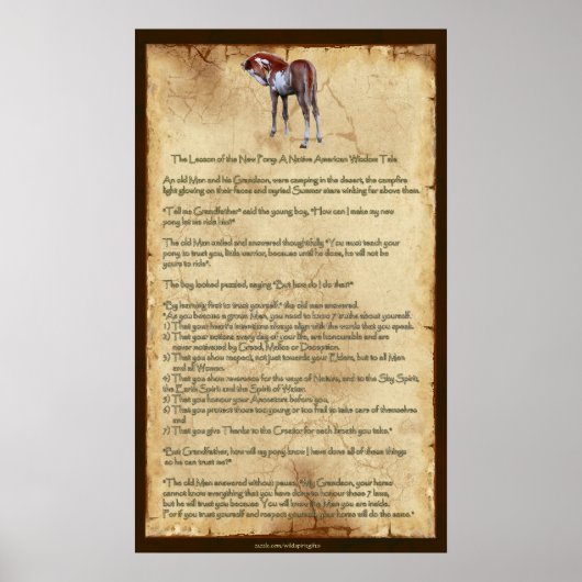 La nouvelle leçon de poney : affiche de la sagesse (Devant)