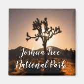 La nuit commence à Joshua Tree Magnet (Devant)