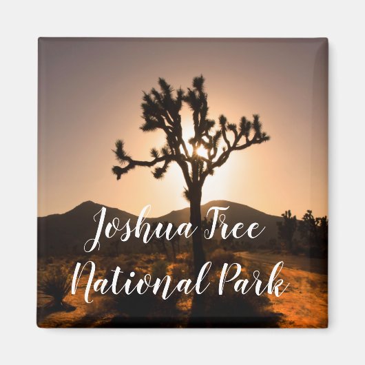 La nuit commence à Joshua Tree Magnet (Devant)