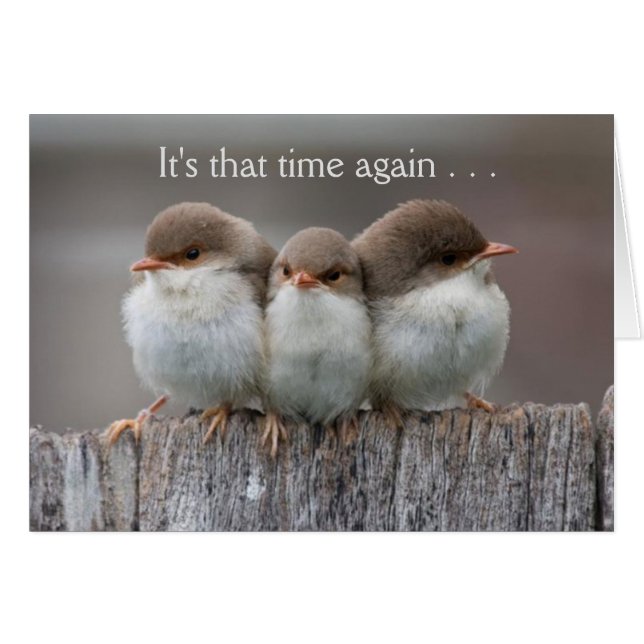 La nuit drôle de filles cardent (Devant Horizontal)