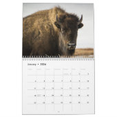 Là où Buffalo errent le calendrier (Jan 2026)