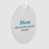 Là où vous êtes plantés (devant)