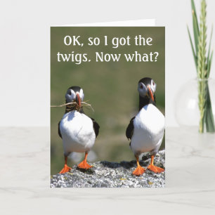 La Paire de Puffin de Valentine a la carte des bri