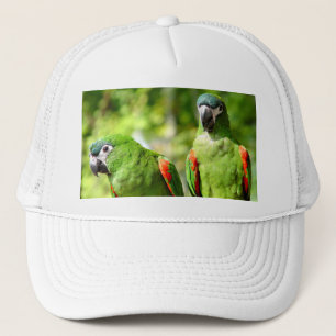 La paire de vert Parrots le casquette