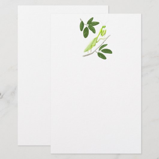 La papeterie de Mantis (Devant / Derrière)