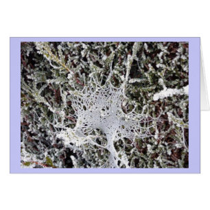 La parole du Titania