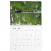 LA PATROUILLE DU CANARD, CALENDRIER 2024 (Jan 2027)