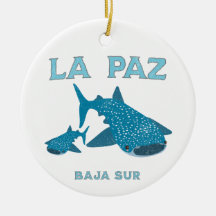 La Paz Baja Mexico Whale Shark