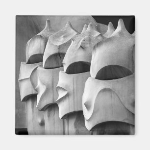 La Pedrera Chimney Magnet Magneet