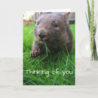 La pensée à vous cardent ! Wombat mignon, carte de