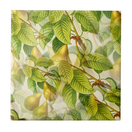 La Pera Pear Tegeltje (Voorkant)