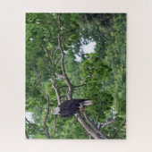 La perche de l'aigle - 16x20 - 520 pcs puzzle (Vertical)