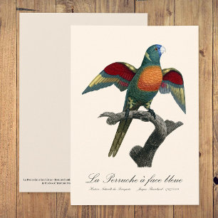 La Perruche a face bleue Bedankkaart