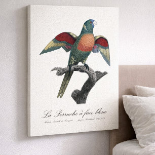 La Perruche a face bleue Canvas Afdruk