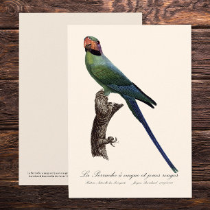 La Perruche a unque et joues rouges Bedankkaart