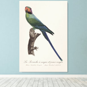 La Perruche a unque et joues rouges Canvas Afdruk