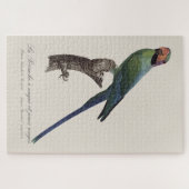 La Perruche a unque et joues rouges Legpuzzel (Horizontaal)