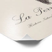 La Perruche fringillaire Foto Afdruk (Hoek)