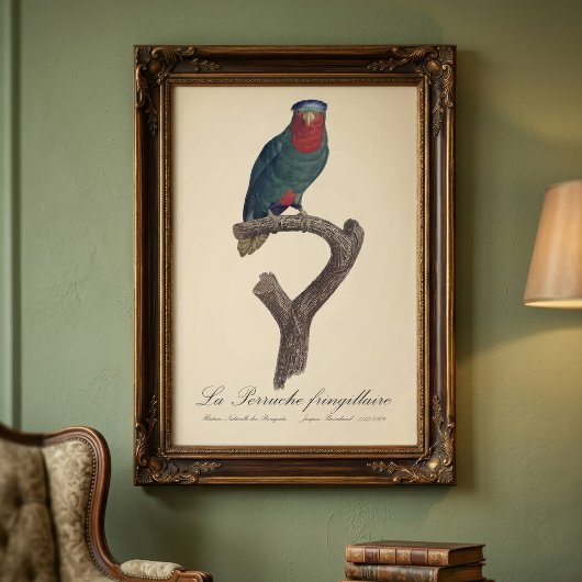 La Perruche fringillaire Foto Afdruk