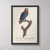 La Perruche fringillaire Foto Afdruk