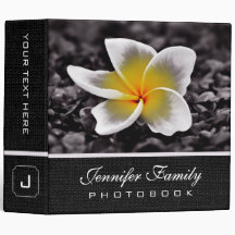 La photo de famille de fleur de Frangipani de