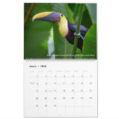 La photographie d'oiseau du calendrier du ~ 2019 (Mar 2026)