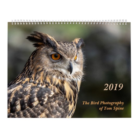 La photographie d'oiseau du calendrier du ~ 2019 (Protection)