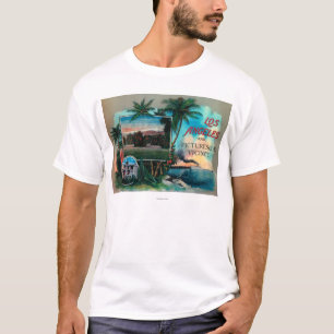 LA & Picturesque Vicinity T-shirt