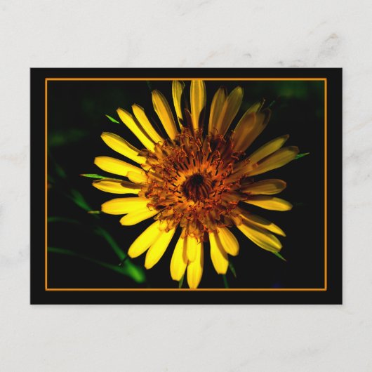 La place de la carte postale (Devant)