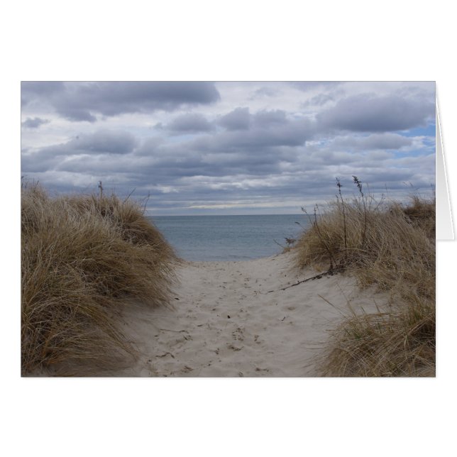 La plage de Deniseport (Devant horizontal)