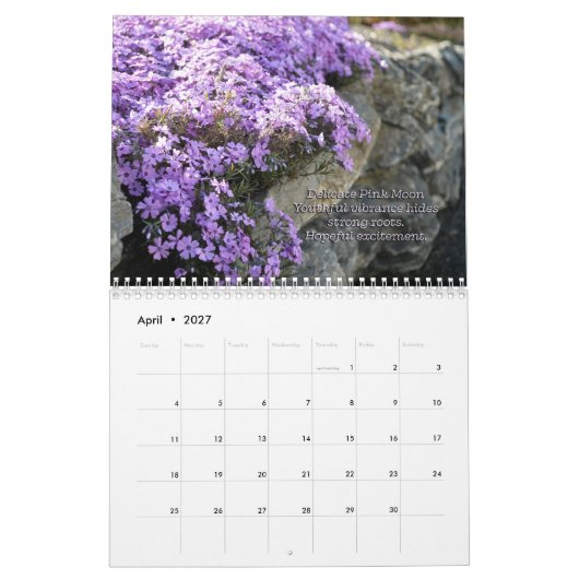 La Pleine lune appelle le calendrier (Apr 2027)