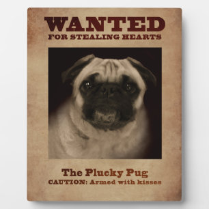 La Plucky Carlin Plaque